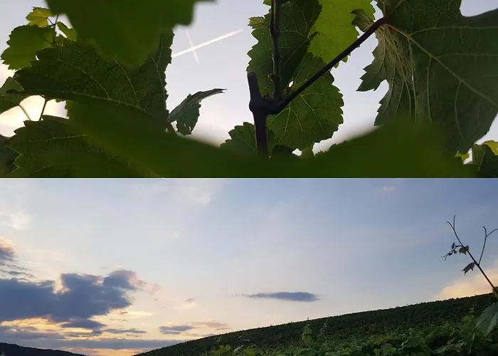 Kleine Stadthaus דירה ברנקסטל - קיס